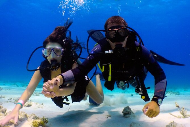From Dubai: Discovery Scuba Diving & Snorkeling trip in Fujairah - Snorkeling gives you a second way to enjoy the sea
