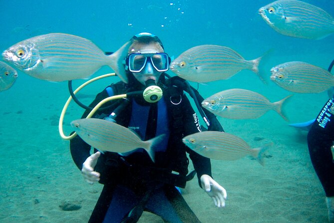From Dubai: Discovery Scuba Diving & Snorkeling trip in Fujairah - Practical planning for a smoother day
