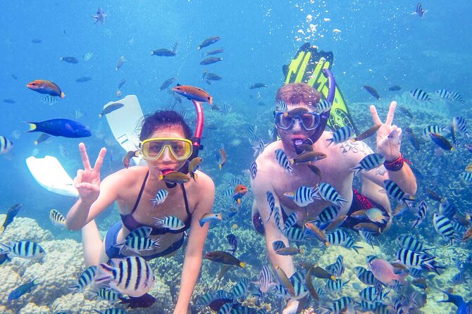 From Dubai: Discovery Scuba Diving & Snorkeling trip in Fujairah - First steps for a beginner in the water