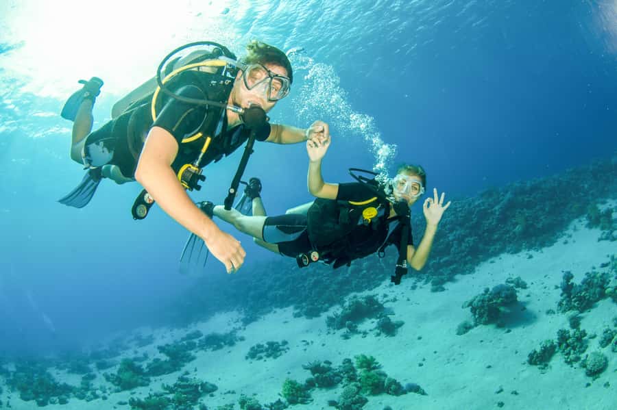 From Dubai: Fujairah Half-Day Scuba Dive and Snorkeling - The Early Ride From Dubai to Fujairah