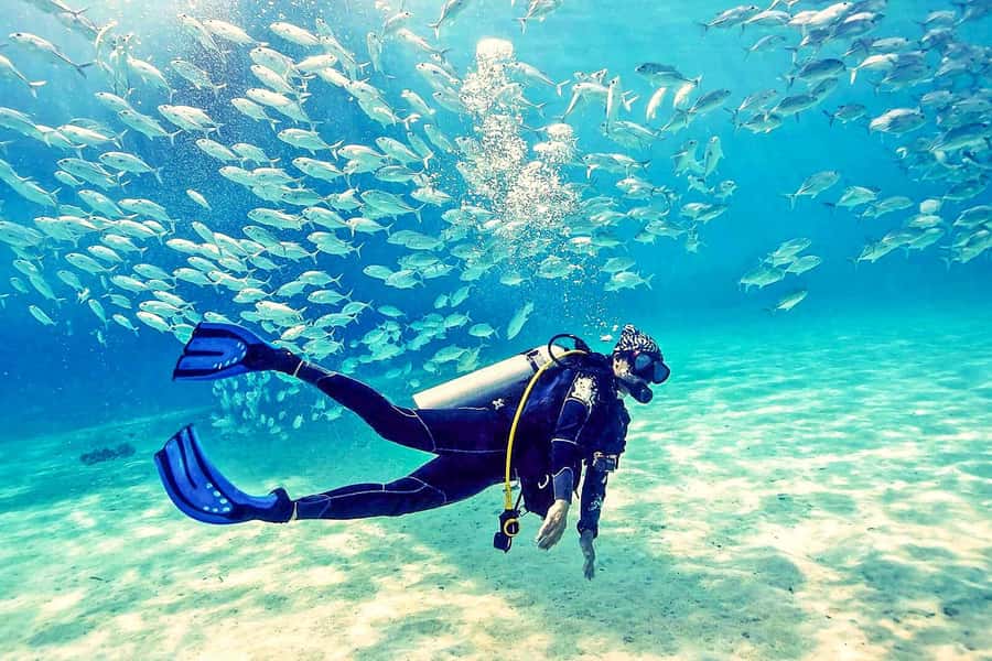 From Dubai: Fujairah Half-Day Scuba Dive and Snorkeling - Arriving at the Fujairah Dive Center