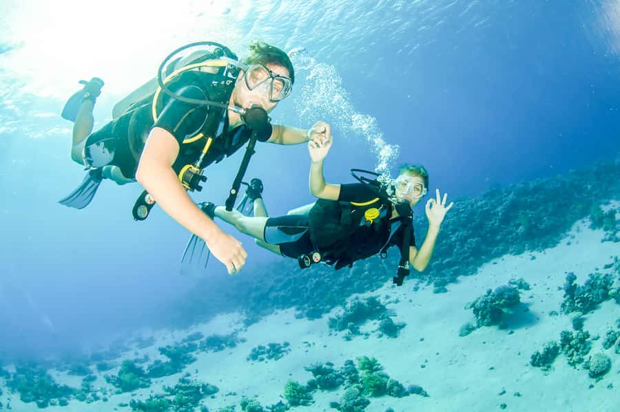 From Dubai: Fujairah Scuba Dive and Snorkeling - Key points to know before booking