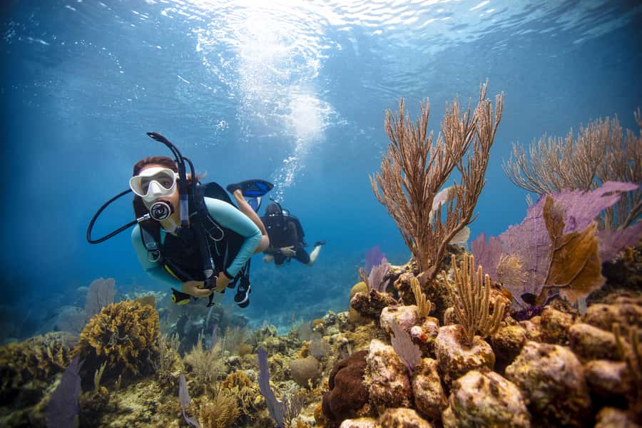 From Dubai: Fujairah Scuba Dive and Snorkeling - Why Fujairah makes sense for a water day