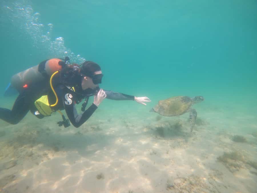 From Dubai: Fujairah Scuba Dive and Snorkeling - Cruising toward the first Gulf of Oman site