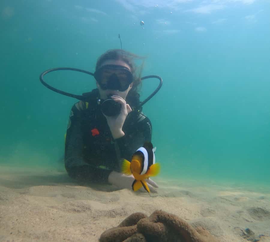 From Dubai: Fujairah Scuba Dive and Snorkeling - Two underwater sessions at different locations