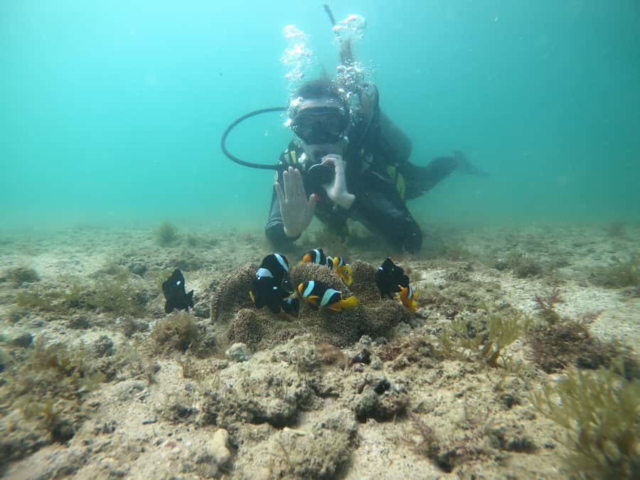 From Dubai: Fujairah Scuba Dive and Snorkeling - What the break between sessions feels like