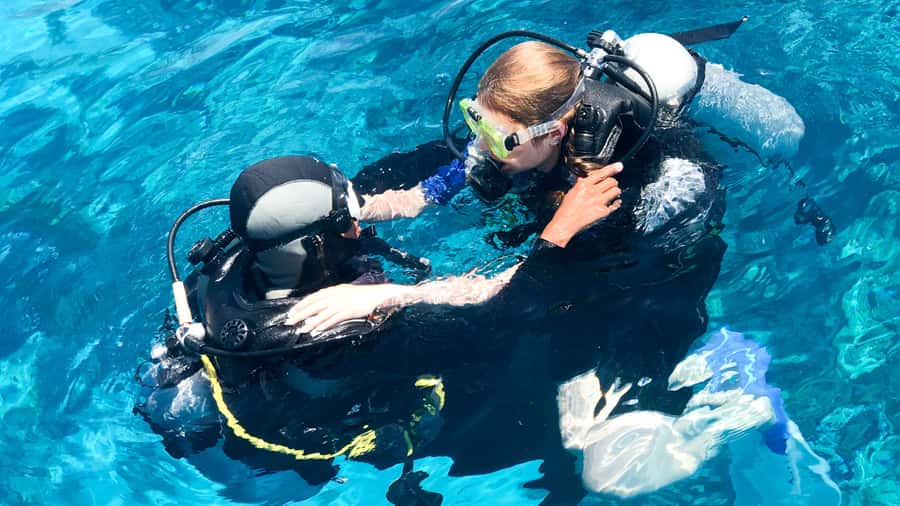 From Dubai: Fujairah Scuba Dive and Snorkeling - Returning to shore and Dubai