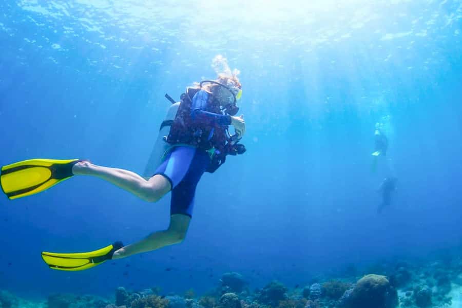 From Dubai: Fujairah Scuba Dive and Snorkeling - The morning hotel pickup from Dubai