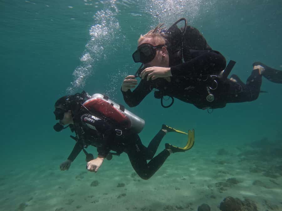 From Dubai: Try Scuba Diving, Snorkeling with BBQ & Transfer - Should You Book This Fujairah Trip?