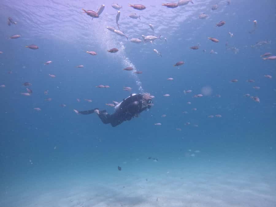 From Dubai: Try Scuba Diving, Snorkeling with BBQ & Transfer - Getting Comfortable With the Equipment