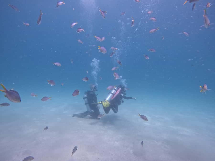 From Dubai: Try Scuba Diving, Snorkeling with BBQ & Transfer - Sharm Rocks Keeps the Water Time Going