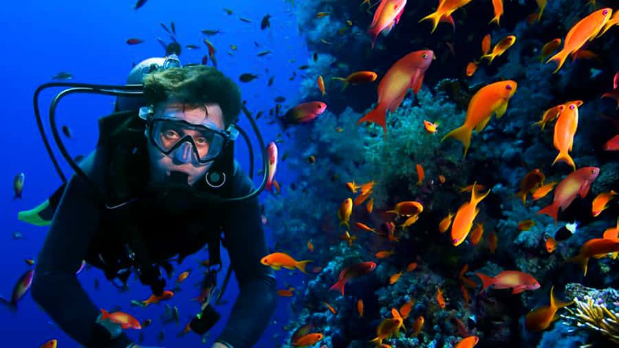 From Hurghada: Scuba Diving with Expert Guide & 2 Dives - Abu Ramada, Small Giftun, and Umm Gummar