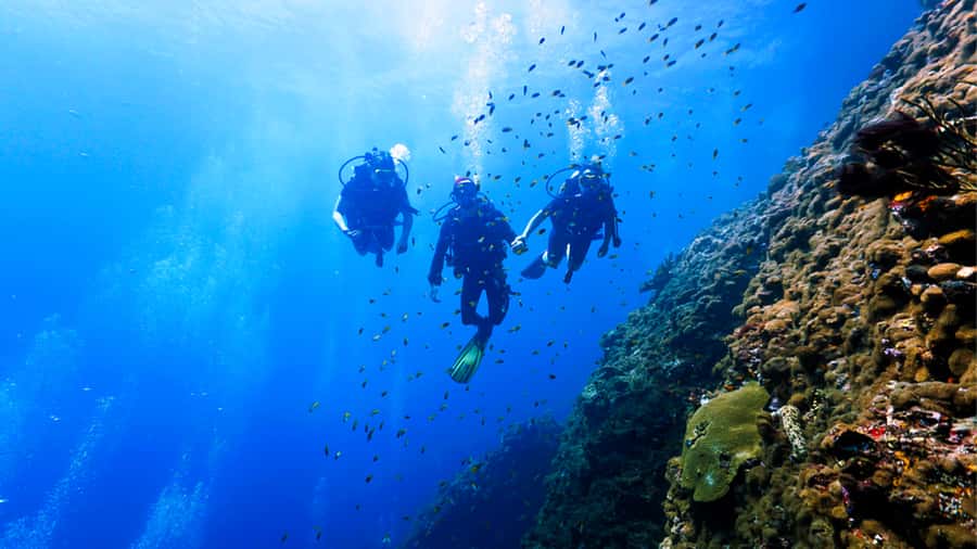 From Hurghada: Scuba Diving with Expert Guide & 2 Dives - Lunch, soft drinks, and time on deck