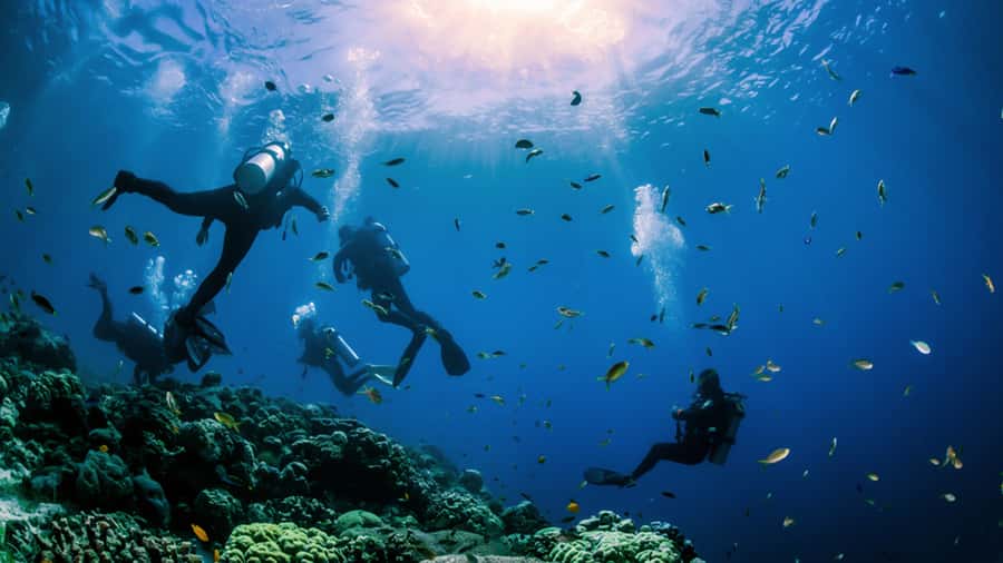 From Hurghada: Scuba Diving with Expert Guide & 2 Dives - Booking, cancellation, and practical value