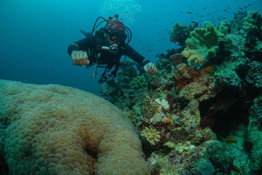 From Jeddah: Boat Trip and Diving for Certified Divers - Equipment: what is included and what may cost more