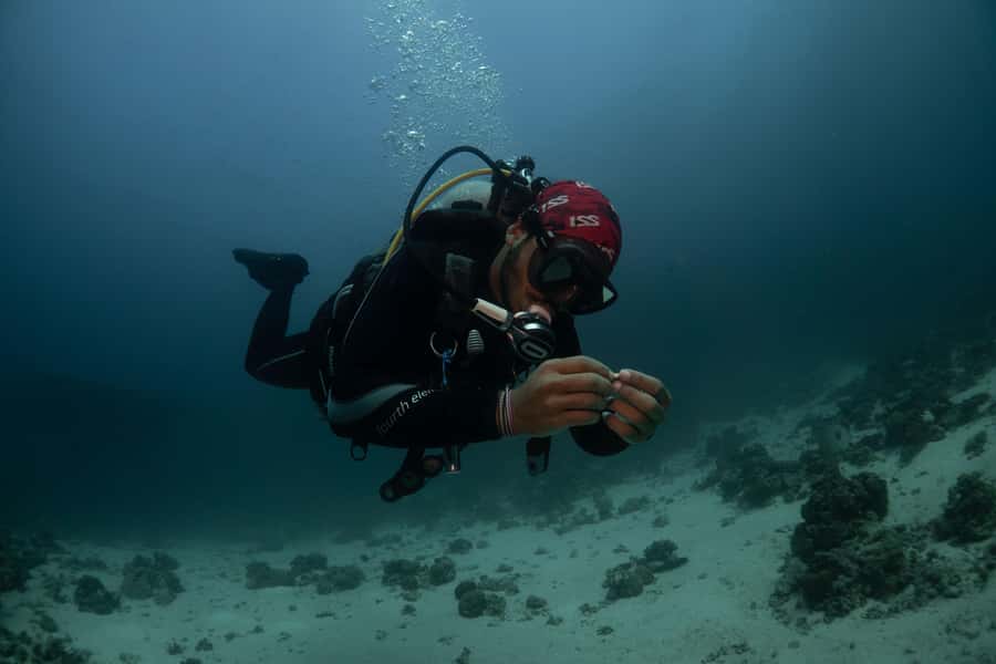 From Jeddah: Boat Trip and Diving for Certified Divers - Safety, supervision, and the six-month rule