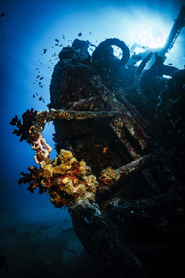 From Jeddah: Boat Trip and Diving for Certified Divers - What the $93 price really buys you