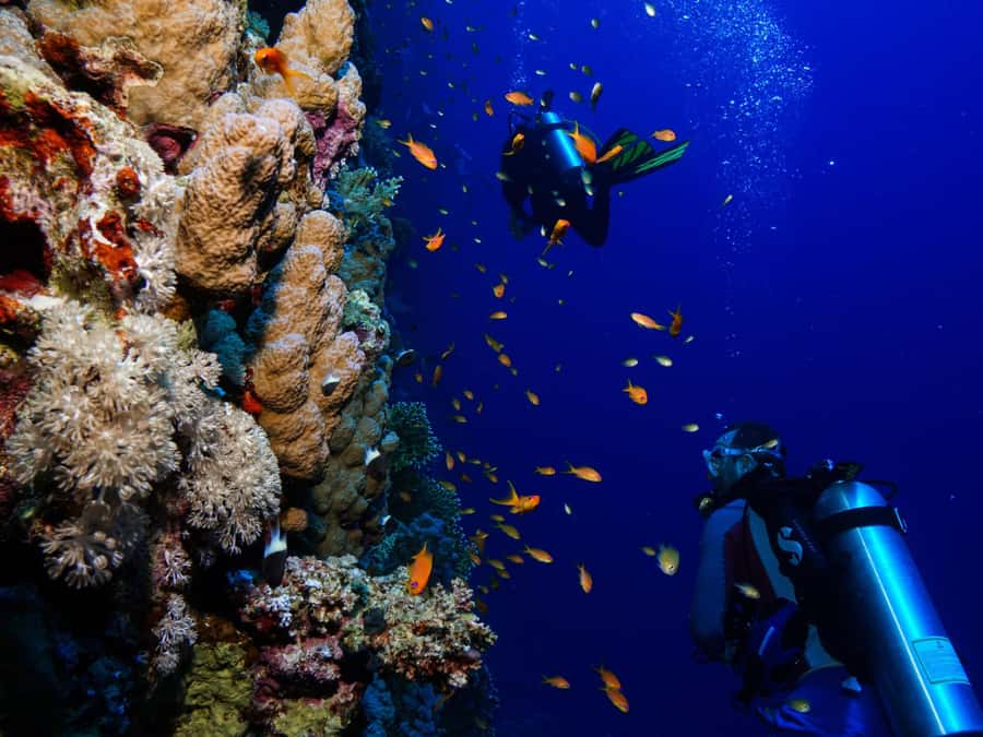 From Khasab: Diving Experience in Khasab - Starting in Khasab: simple pickup with useful flexibility