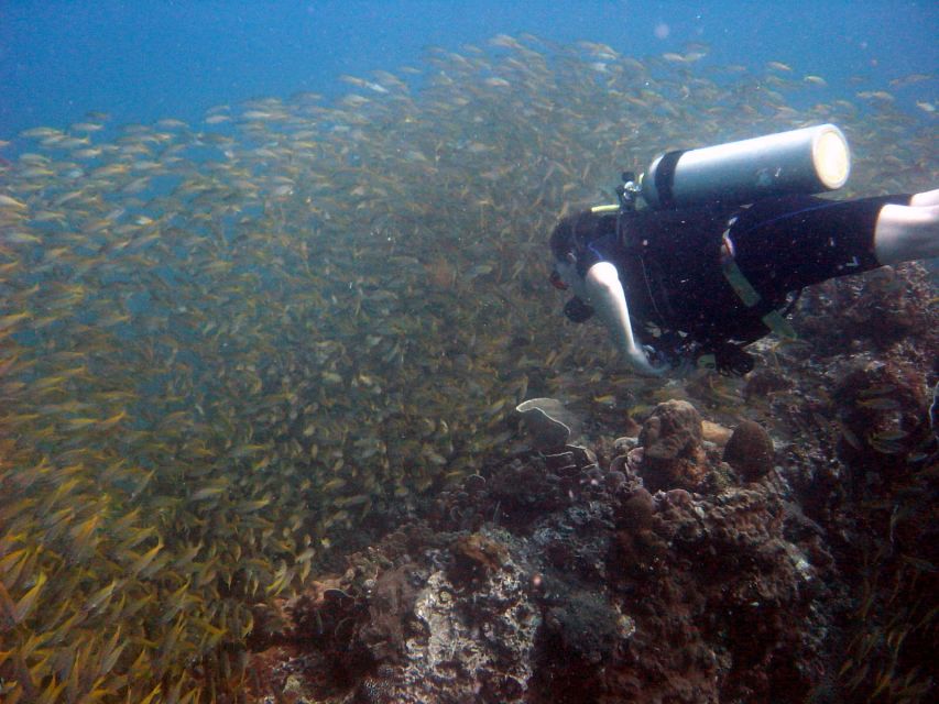 From Koh Kood: Certified Dive Trip - What is included for the $112 price