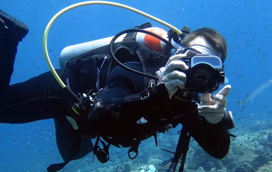 From Koh Kood: Certified Dive Trip - The drawbacks you should weigh honestly