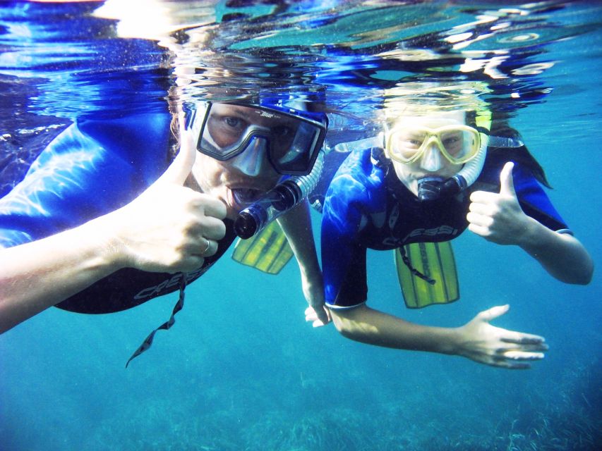 From Kos: Pserimos Island Snorkeling Cruise by Diving Boat - What you can see below the surface