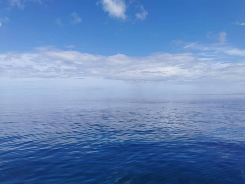From Naha Scuba Diving Trip in Kerama(for certified divers) - Equipment, insurance, and the price