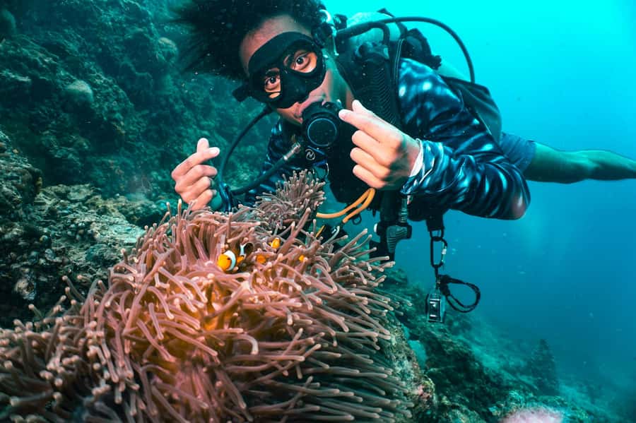 From Phi Phi: Beginner Scuba Diving Day Trip with 2 Dives - Why this Phi Phi trip works well for beginners