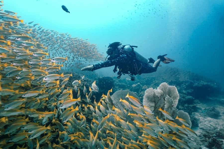 From Phi Phi: Beginner Scuba Diving Day Trip with 2 Dives - Getting ready before you reach the pier