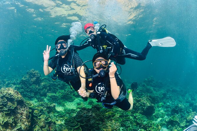 From Phi Phi Don | Half Day Discover Scuba Diving 2 Dives - Starting near Ao Tonsai Pier on Phi Phi Don