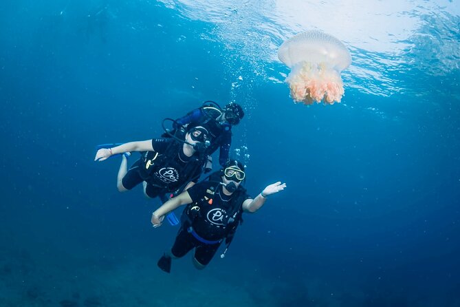 From Phi Phi Don | Half Day Discover Scuba Diving 2 Dives - What Phi Phi Don adds to the day