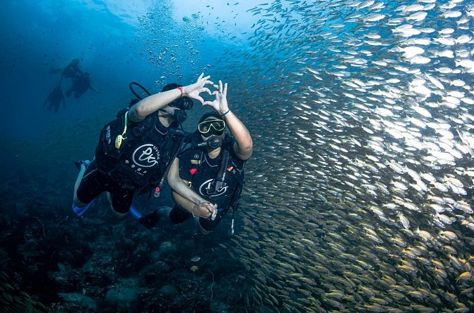 From Phi Phi Don | Half Day Discover Scuba Diving 2 Dives - Phi Phi Lee and Phi Phi Le: dramatic scenery above and below
