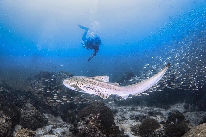 From Phi Phi Don | Half Day Discover Scuba Diving 2 Dives - Setting out toward Phi Phi’s limestone islands