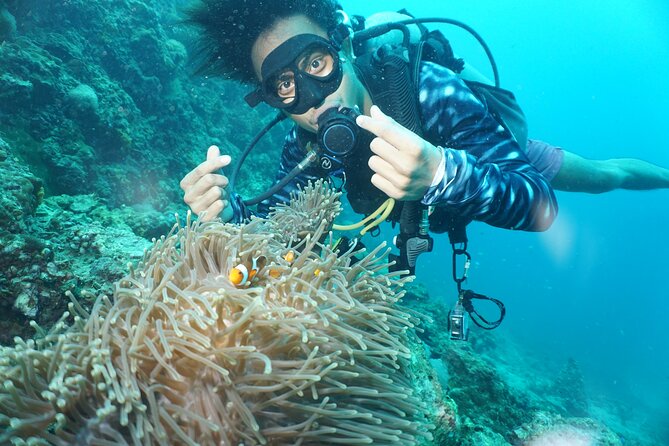 From Phi Phi: Half Day Discover Scuba (2 Dives) - The Phi Phi overnight rule changes your plans