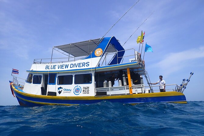 From Phi Phi: Half Day Trip for Certified Divers (2 Dives) - The underwater life around Phi Phi