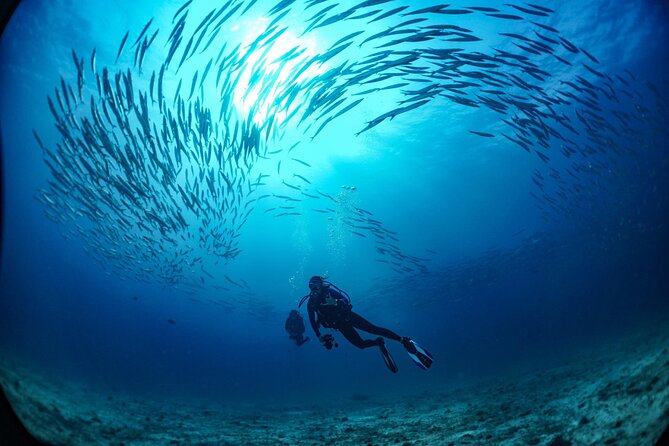 From Phi Phi: Half-Day Trip for Certified Divers (2 Dives) - Boat ride to the Bida Islands