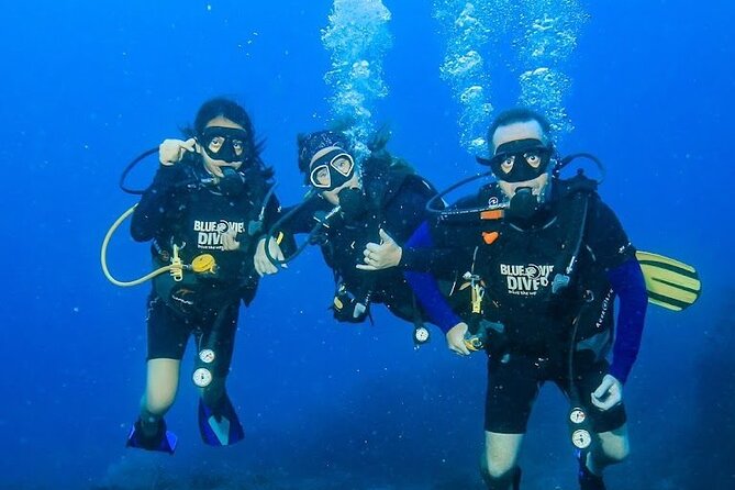 From Phi Phi: PADI Open Water Course <em>eLearning (2+ days) – Key points worth knowing’ /></p>
<ul>
<li><strong>Four qualifying underwater sessions</strong> take place around Phi Phi Leh and the Bida Islands after beach-based skills training.</li>
<li><strong>PADI eLearning comes before arrival</strong>, with about 8 to 12 hours of independent study on your own schedule.</li>
<li><strong>Small groups capped at 10 people</strong> allow more personal help than a large resort class.</li>
<li><strong>Each boat outing lasts about five hours</strong>, with two sessions and lunch between them.</li>
<li><strong>The total price is $475.80</strong>, including equipment, certification fees, insurance, and a dive computer, but not the 800 THB National Park fee.</li>
<li><strong>A three-day pace is easier</strong>, especially if you want time for island life, rest, or extra help with course skills.</li>
</ul>
<h2>What this Phi Phi scuba course really involves</h2>
<p><img width="669" height="446" decoding="async" src=