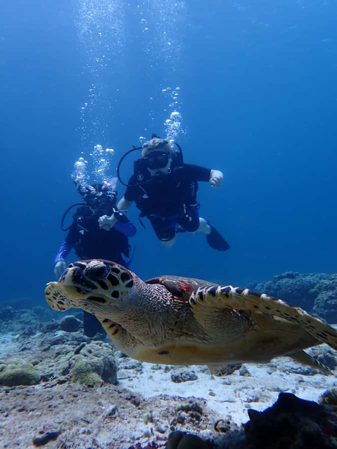 From Phuket: 3-Day SSI/PADI Open Water Diver Certification - Key points to know before booking
