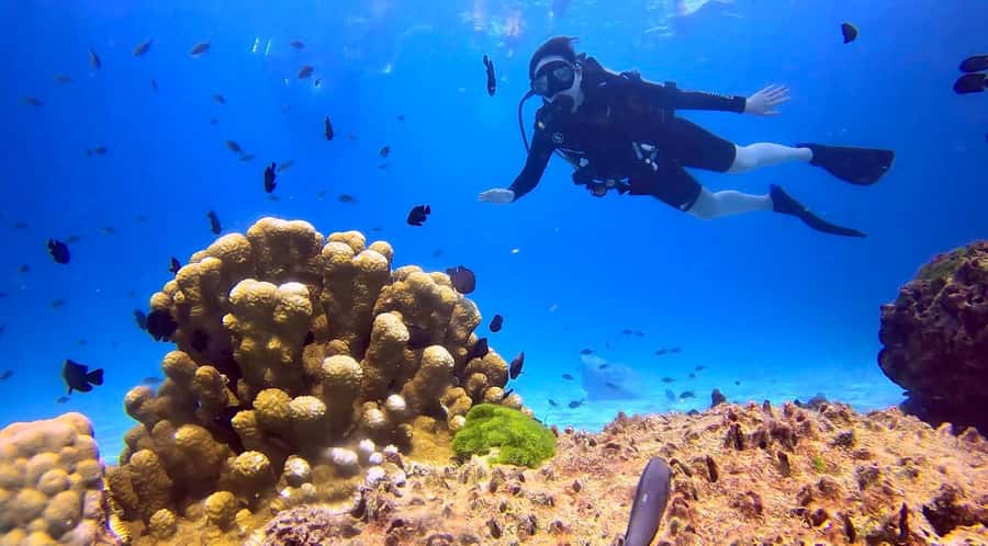 From Phuket: 3-Day SSI/PADI Open Water Diver Certification - What the $530 price really covers