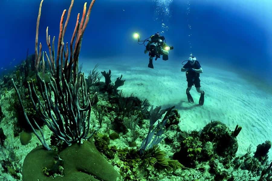 From Phuket: 3-Day SSI/PADI Open Water Diver Certification - The instructors and the feel of the training