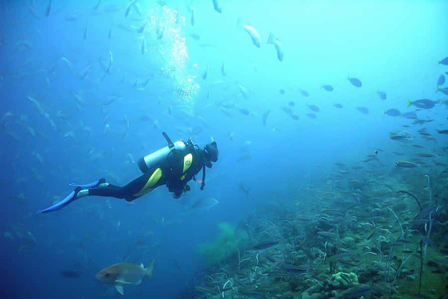From Phuket: 3-Day SSI/PADI Open Water Diver Certification - Who should choose this course?