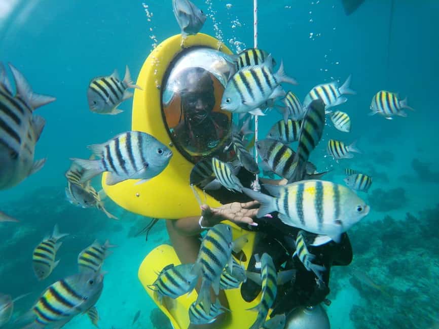 From Punta Cana: ScubaDoo, Snorkel & Glass Bottom Boat Tour - Key points to know before you book