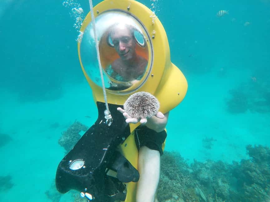 From Punta Cana: ScubaDoo, Snorkel & Glass Bottom Boat Tour - The Panoramic One glass-bottom boat ride