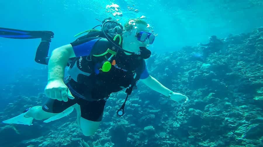 From Sharm: Luxury Diving cruise to Ras Mohammed with Lunch - Lunch on board before the return trip