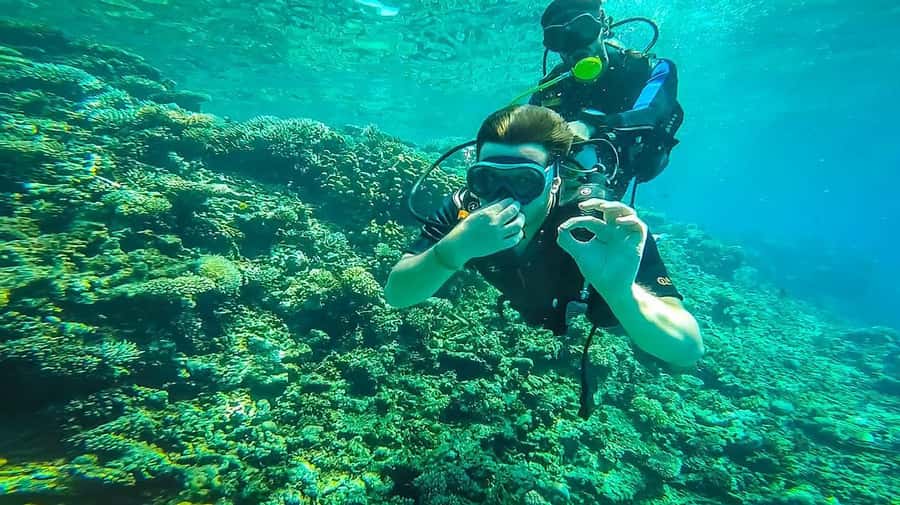 From Sharm: Luxury Diving cruise to Ras Mohammed with Lunch - What the $54 price really covers