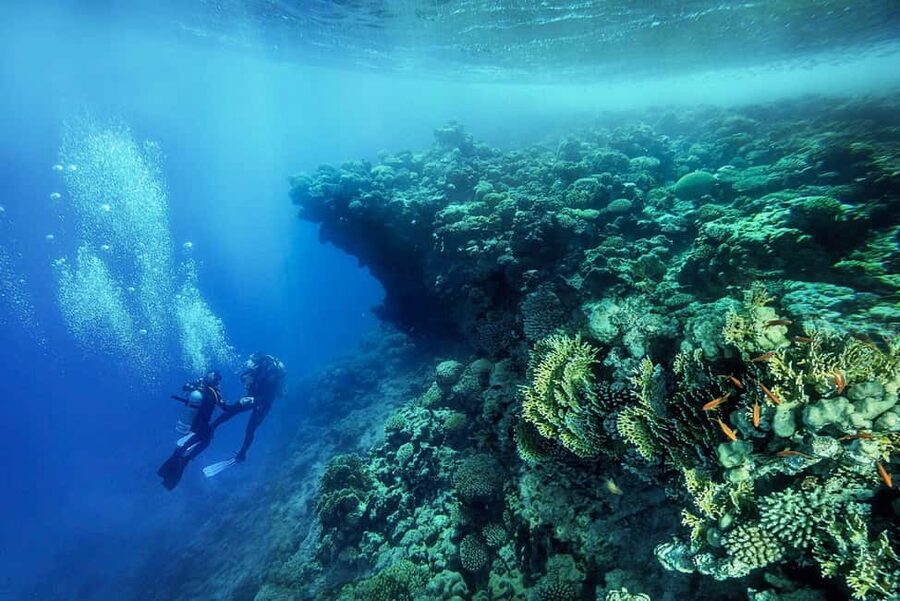 From Sharm or Dahab: Blue Hole & Canyon Sea Dive Experience - What the $176 price really covers
