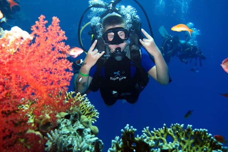 From Sharm: Ras Mohammed snorkeling cruise & optional diving - White Island depends on the tide