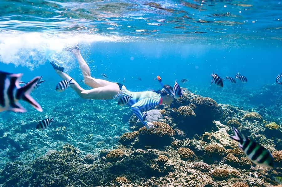 From Sharm: Ras Mohammed snorkeling cruise & optional diving - Lunch on the yacht