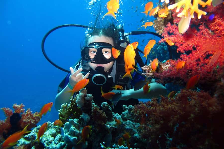 From Sharm: Ras Mohammed snorkeling cruise & optional diving - How much value does the $31 price offer?