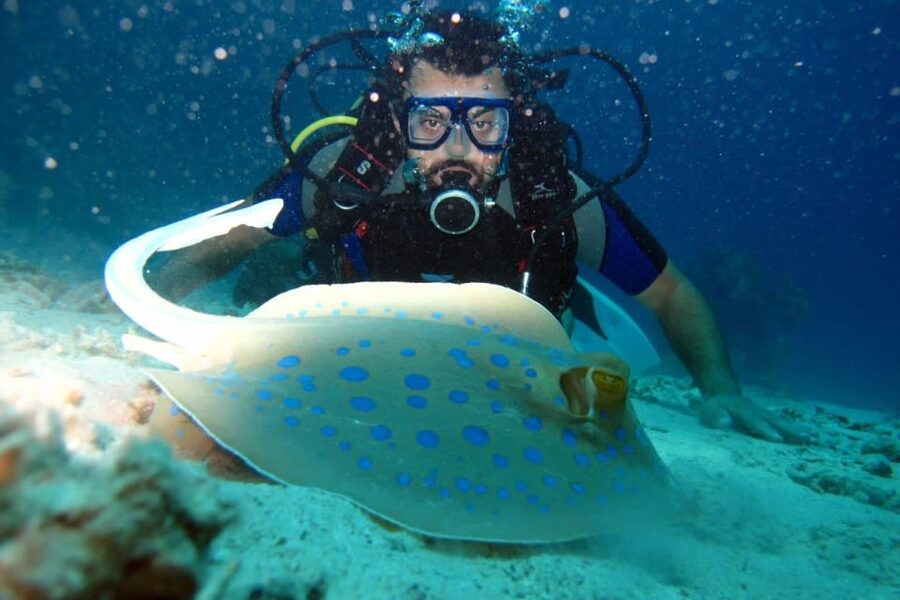 From Sharm: Ras Mohammed snorkeling cruise & optional diving - The return to Sharm El Sheikh