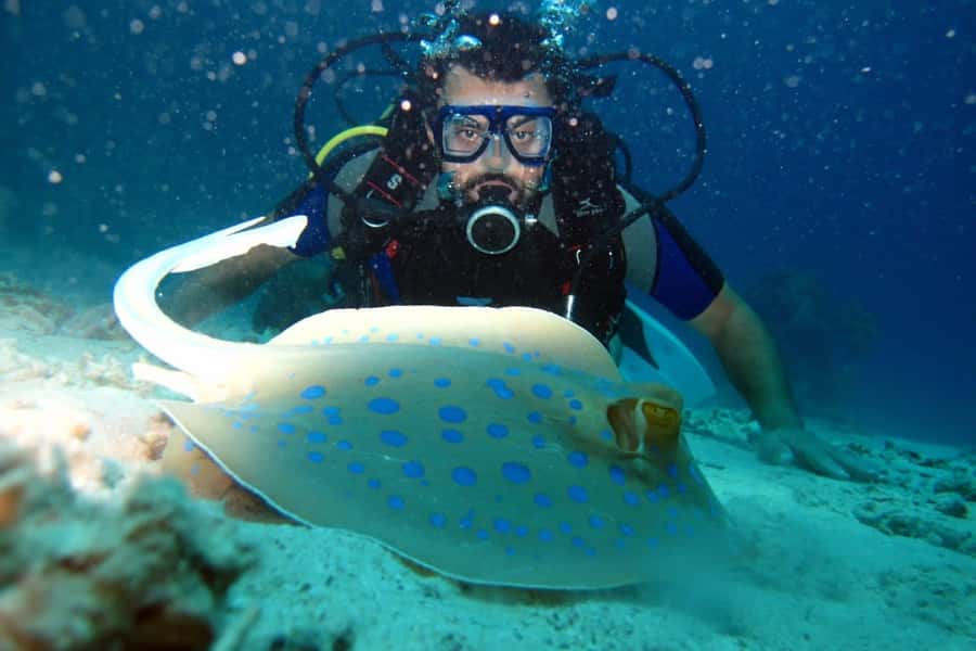 From Sharm: Ras Mohammed snorkeling cruise & optional diving - Crew, languages, and practical comfort